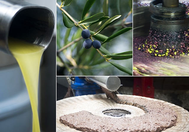 la production de l'huile d'olive