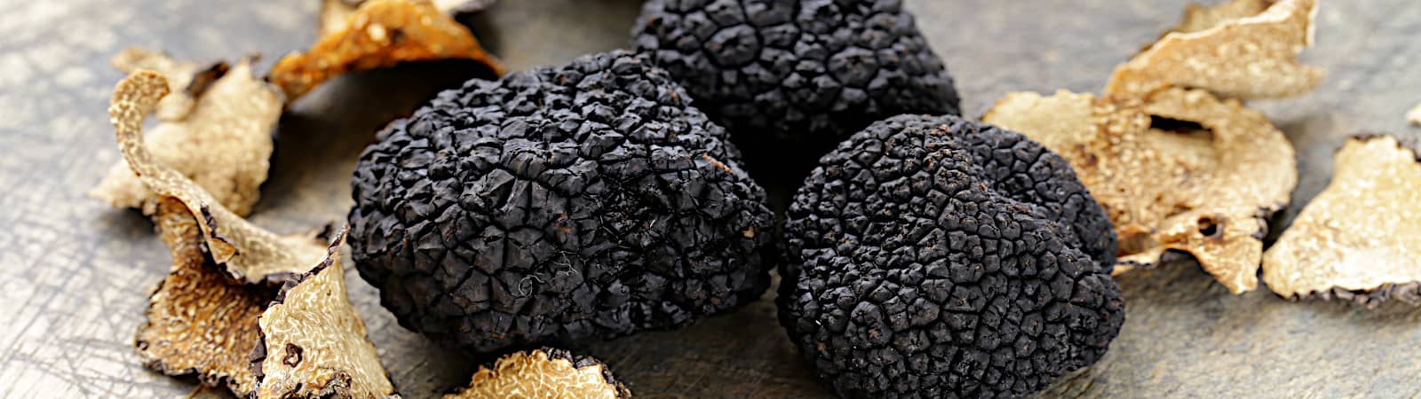 truffes noires provence