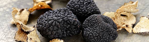 les truffes