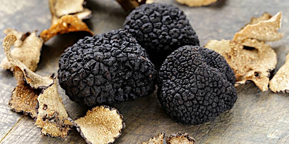 les truffes-diamants noirs en terre de provence